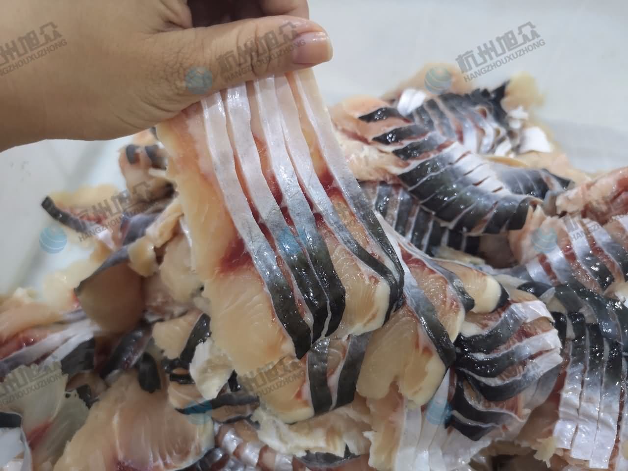 5db6533d8bab7.jpg 5db6533d8bab7.jpg