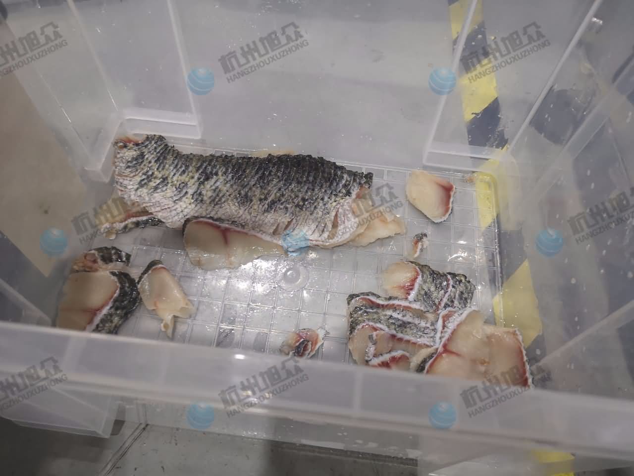 5db6539c5c2dd.jpg 5db6539c5c2dd.jpg