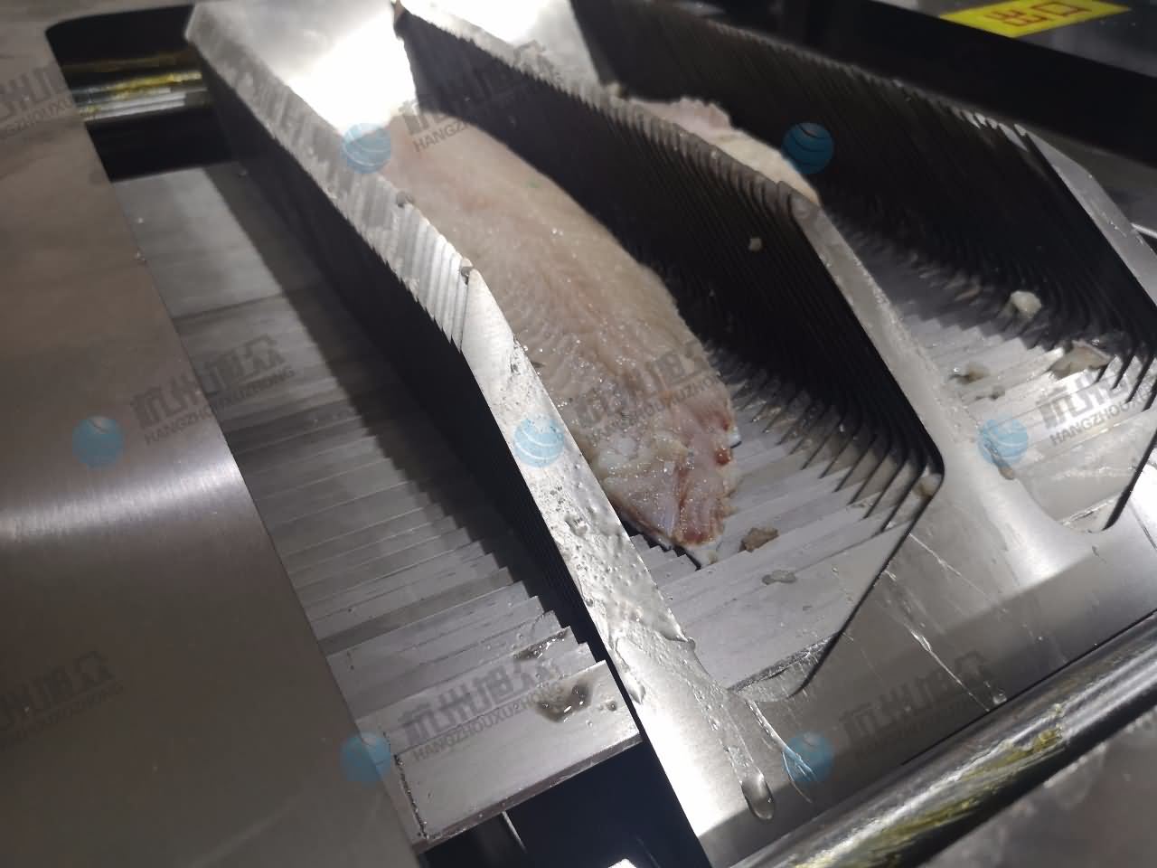 5db6539cc2663.jpg 5db6539cc2663.jpg