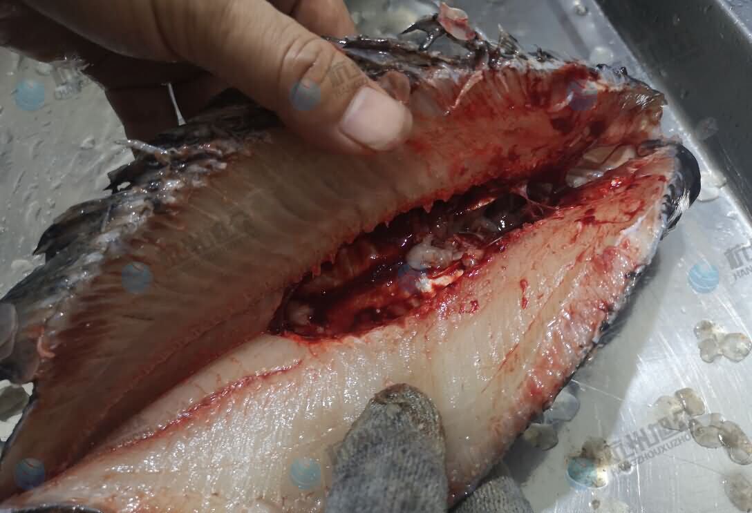 5db79051c620e.jpg 5db79051c620e.jpg