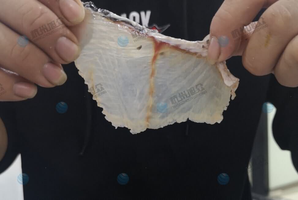 5dc0d9bebdcfe.jpg 5dc0d9bebdcfe.jpg