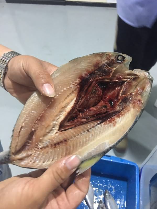 5eba1a4674f6b.jpg 8ca13b97bc2bc2c4e906863aa2a5abc.jpg