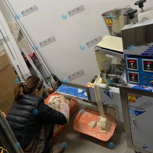 仿手工包餃子機省時省力開店神器！